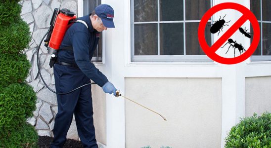 Taşkent Dezenfeksiyon böcek ilaçlama ve haşere kontrolü — ilaclama-tr.com